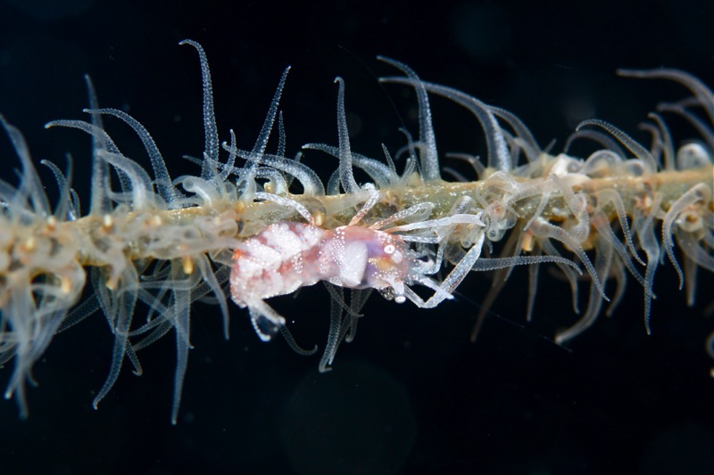 Photographer:Juergen Stamms