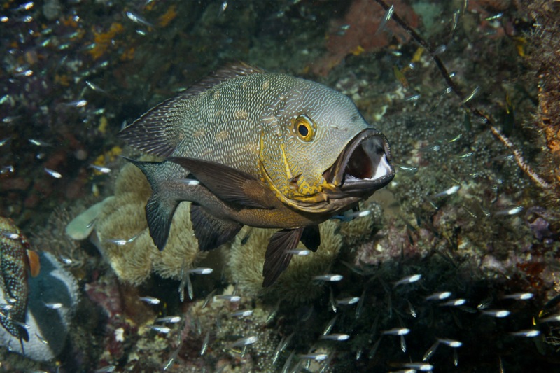 Photographer:Juergen Stamms