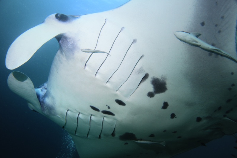 Photographer:Juergen Stamms