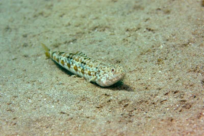 Photographer:Juergen Stamms