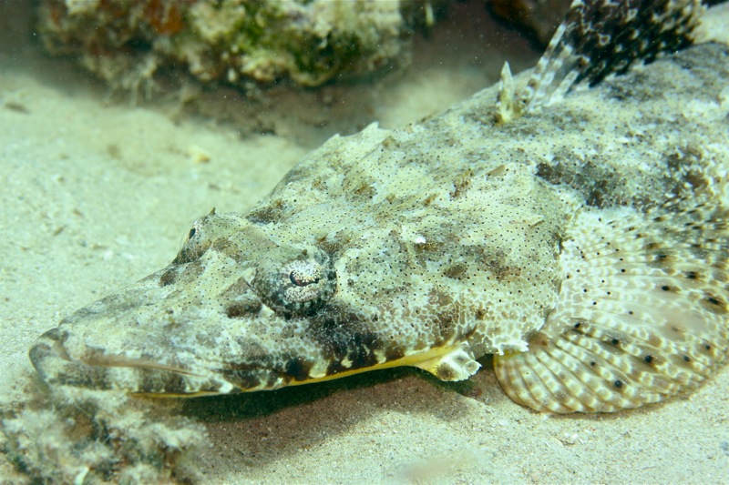 Photographer:Juergen Stamms