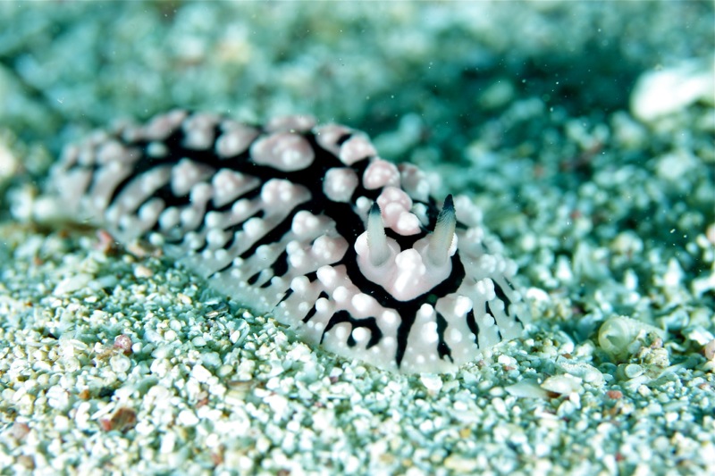 Photographer:Juergen Stamms