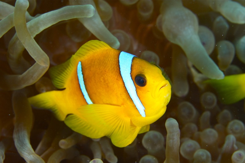 Photographer:Juergen Stamms