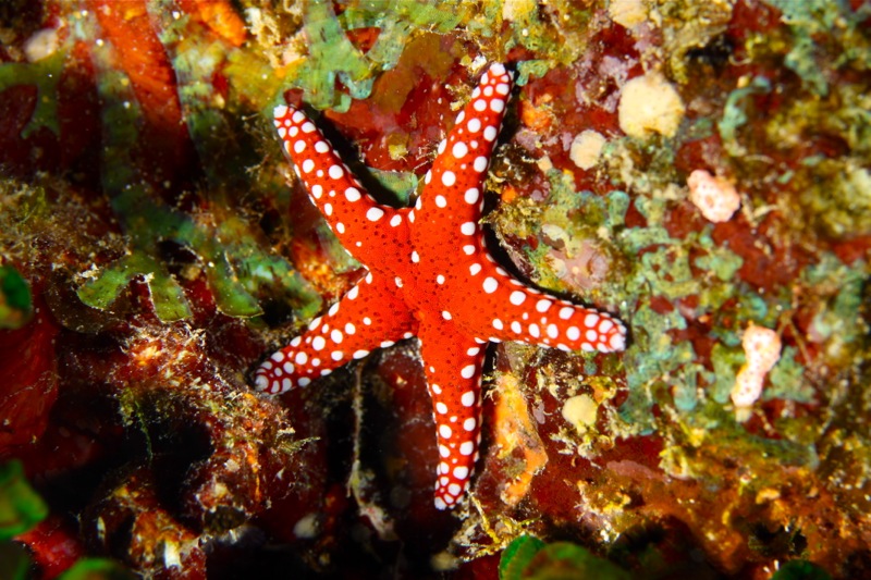 Photographer:Juergen Stamms