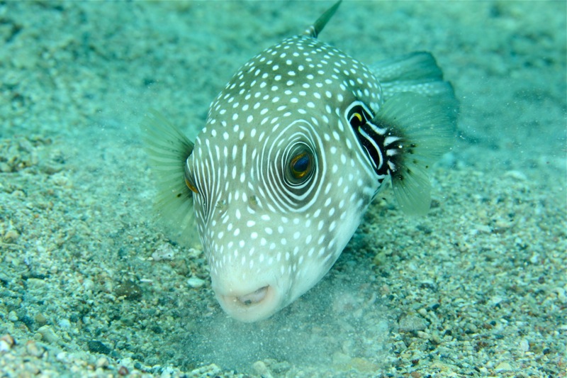 Photographer:Juergen Stamms