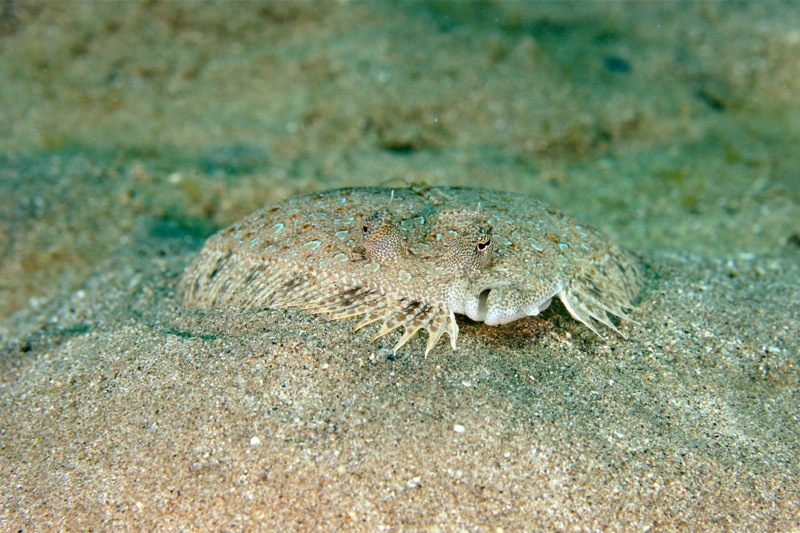 Photographer:Juergen Stamms