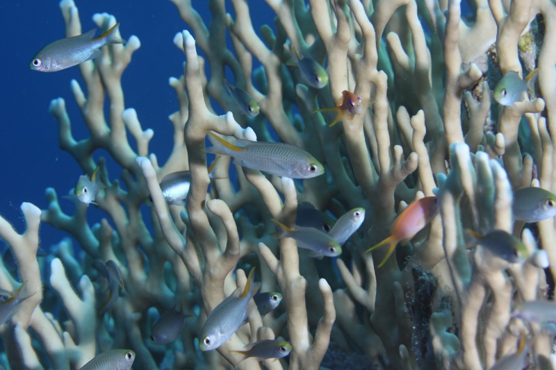 Photographer:
Juergen Stamms