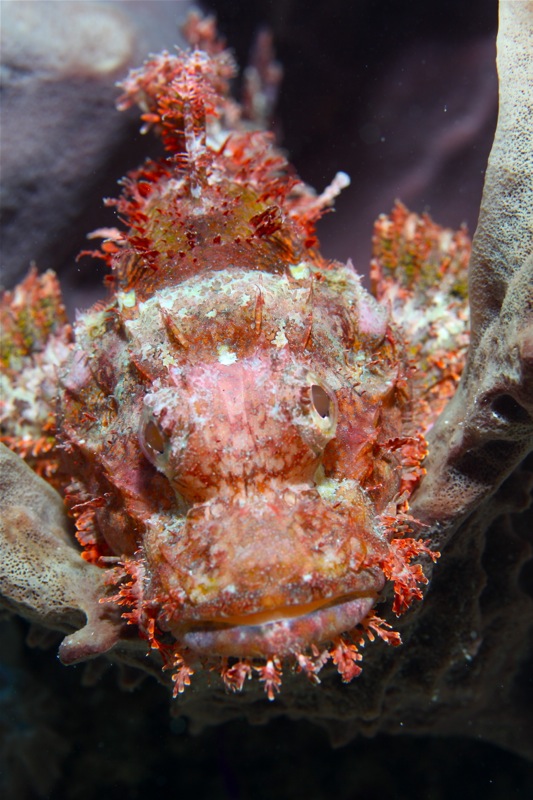 Photographer:Juergen Stamms