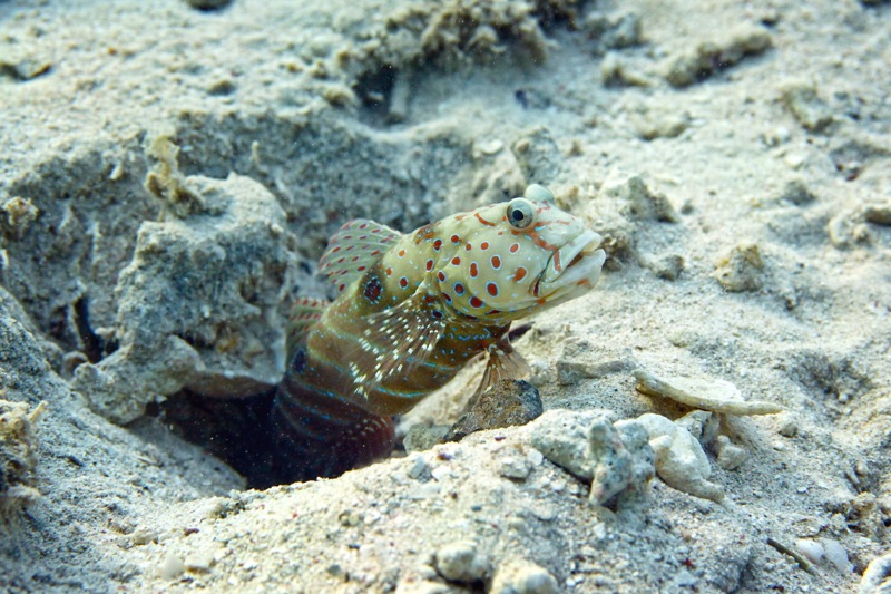 Photographer:Juergen Stamms