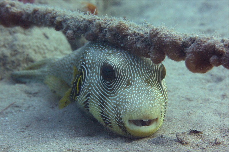 Photographer:Juergen Stamms