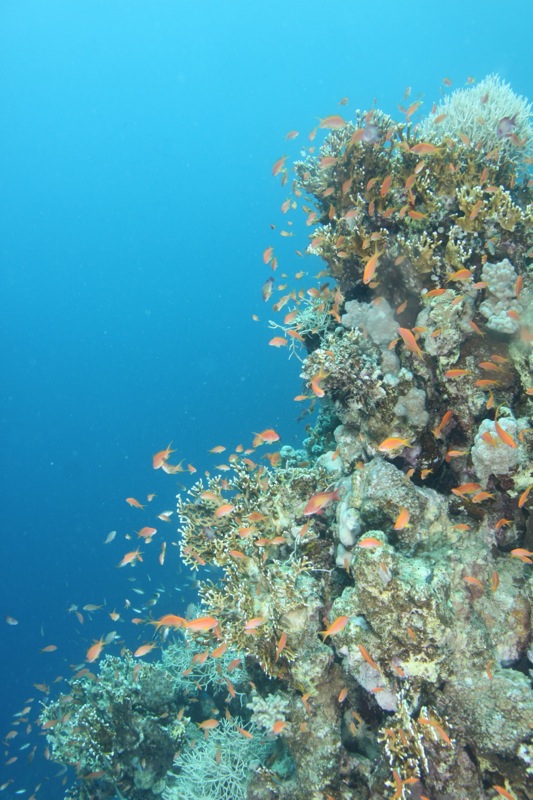 Photographer:Juergen Stamms