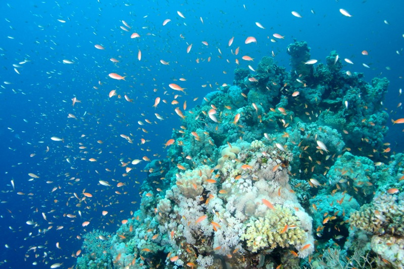 Photographer:Juergen Stamms