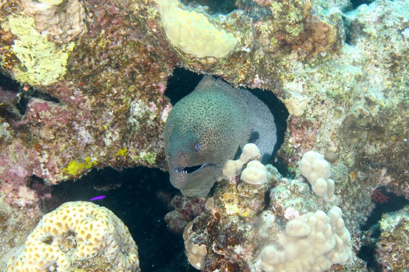 Photographer:Juergen Stamms