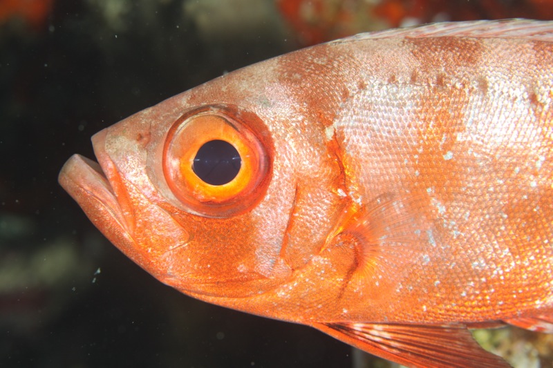 Photographer:
Juergen Stamms