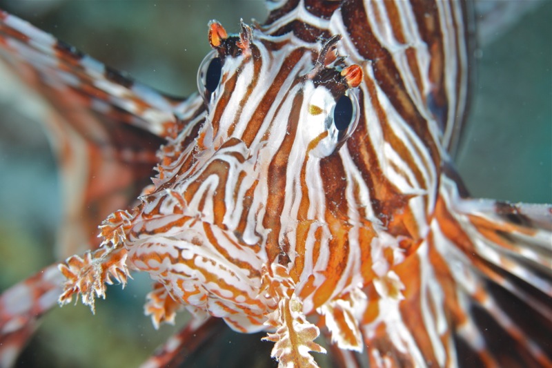 Photographer:Juergen Stamms