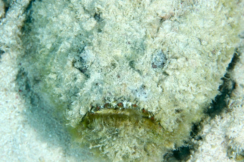 Photographer:Juergen Stamms