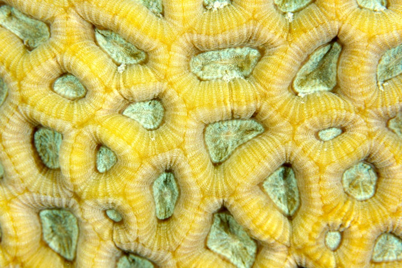 Photographer:Juergen Stamms