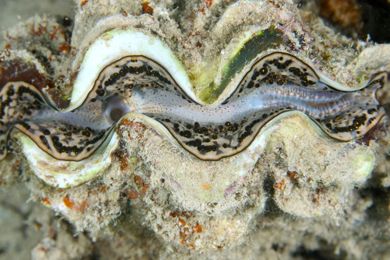 Photographer:Juergen Stamms