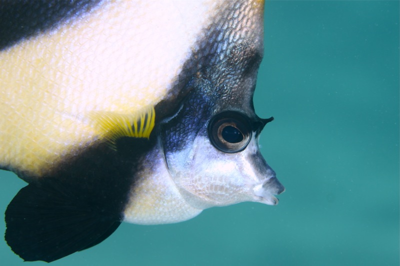 Photographer:Juergen Stamms