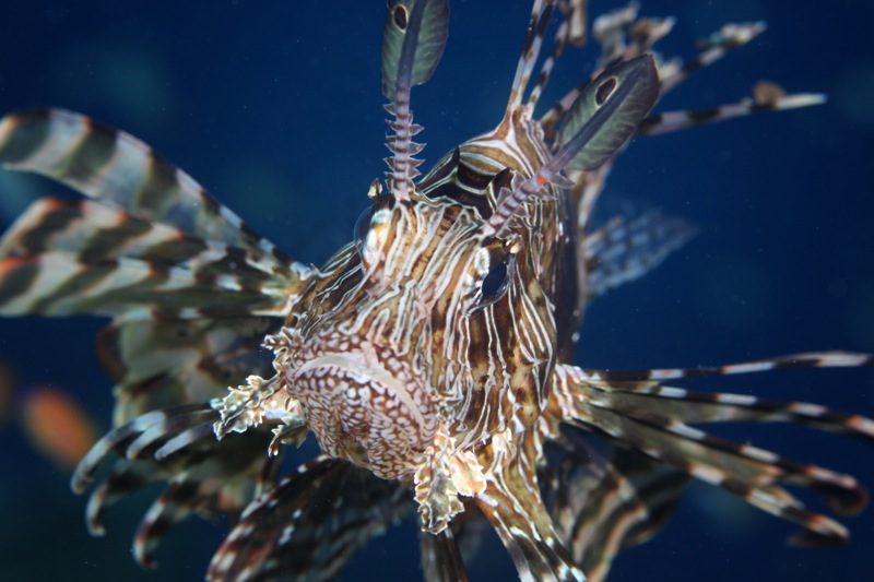 Photographer:Juergen Stamms