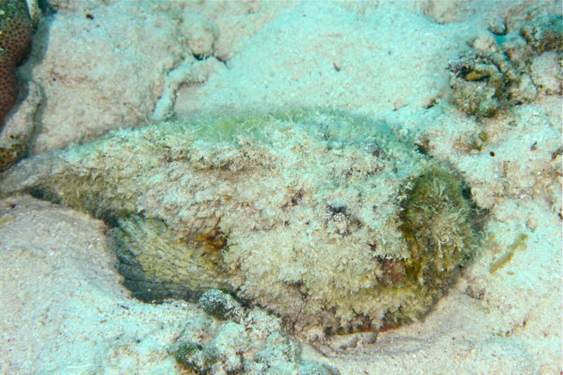 Photographer:Juergen Stamms