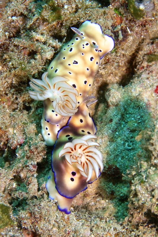 Photographer:
Juergen Stamms