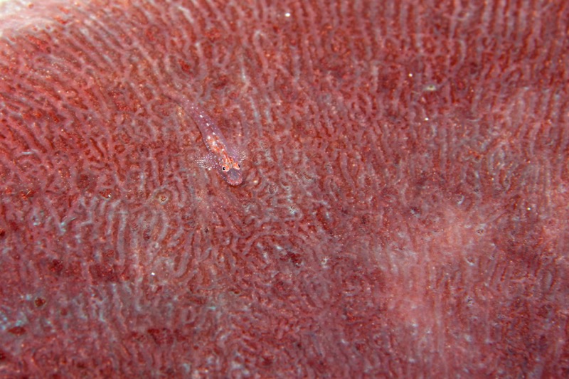 Photographer:
Juergen Stamms