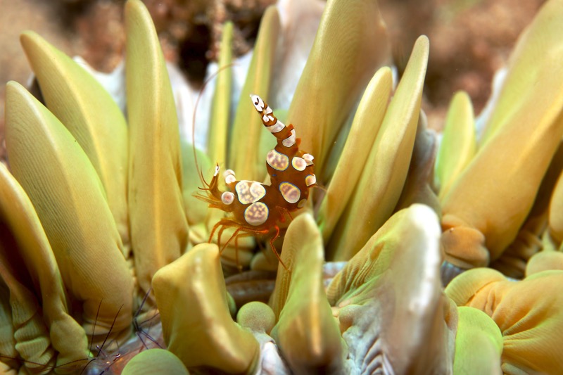 Photographer:
Juergen Stamms