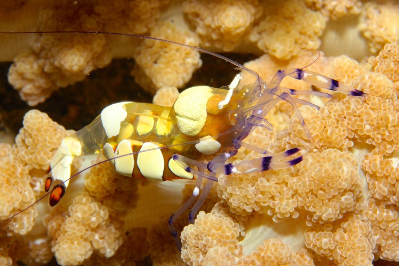 Photographer:
Juergen Stamms