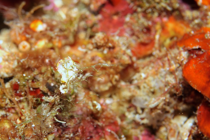 Photographer:
Juergen Stamms