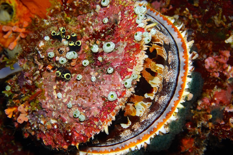 Photographer:
Juergen Stamms