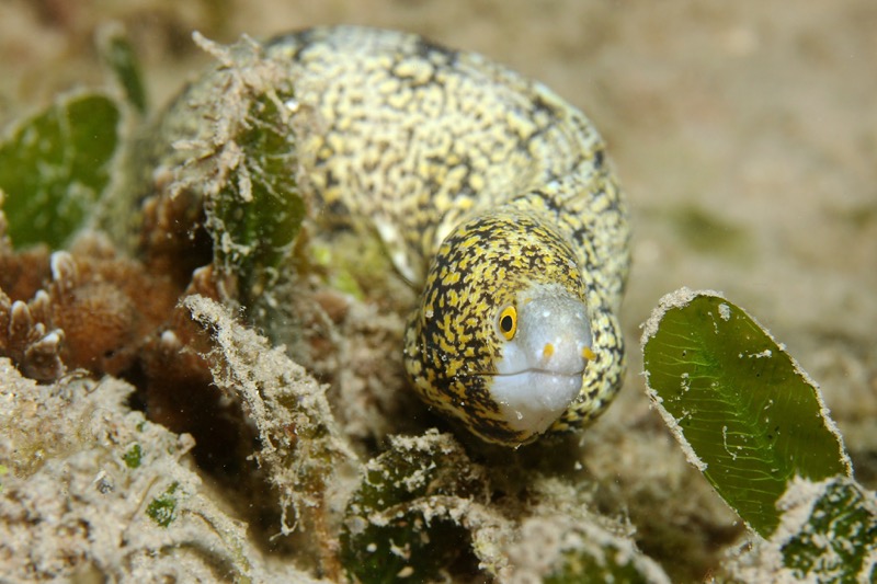 Photographer:
Juergen Stamms