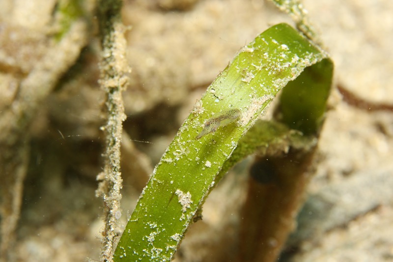 Photographer:
Juergen Stamms