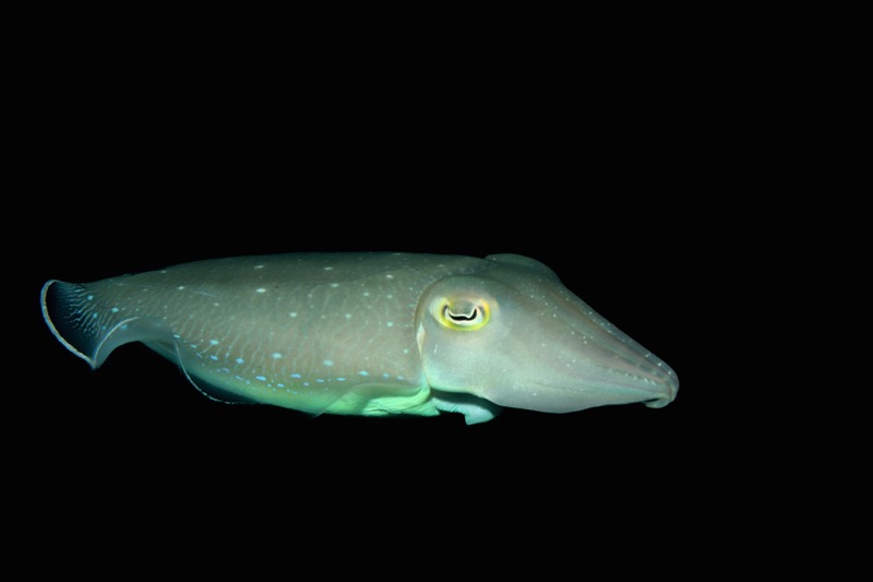 Photographer:
Juergen Stamms