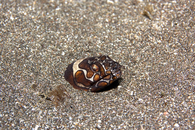 Photographer:
Juergen Stamms