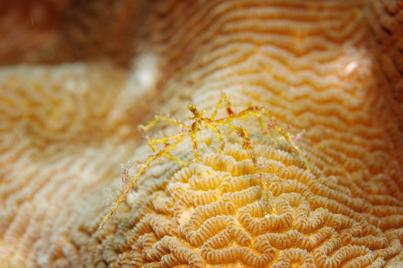 Photographer:
Juergen Stamms