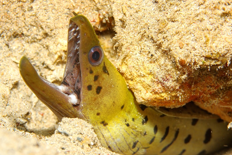 Photographer:
Juergen Stamms