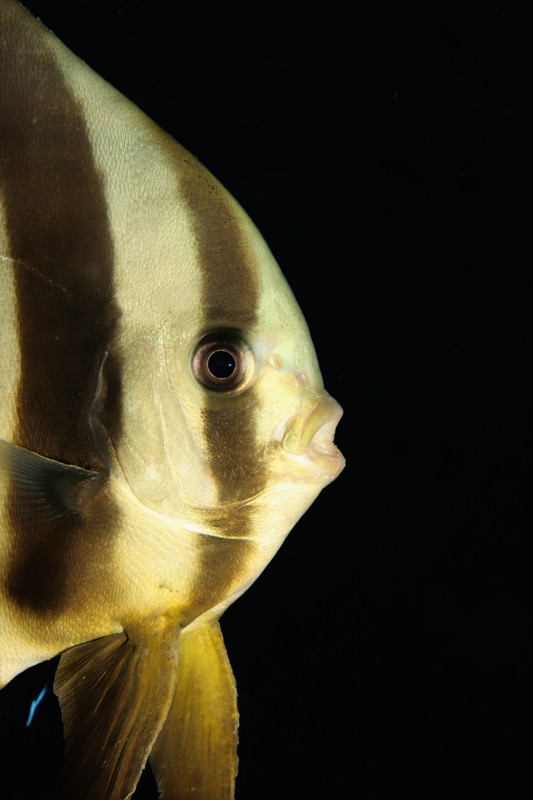 Photographer:
Juergen Stamms