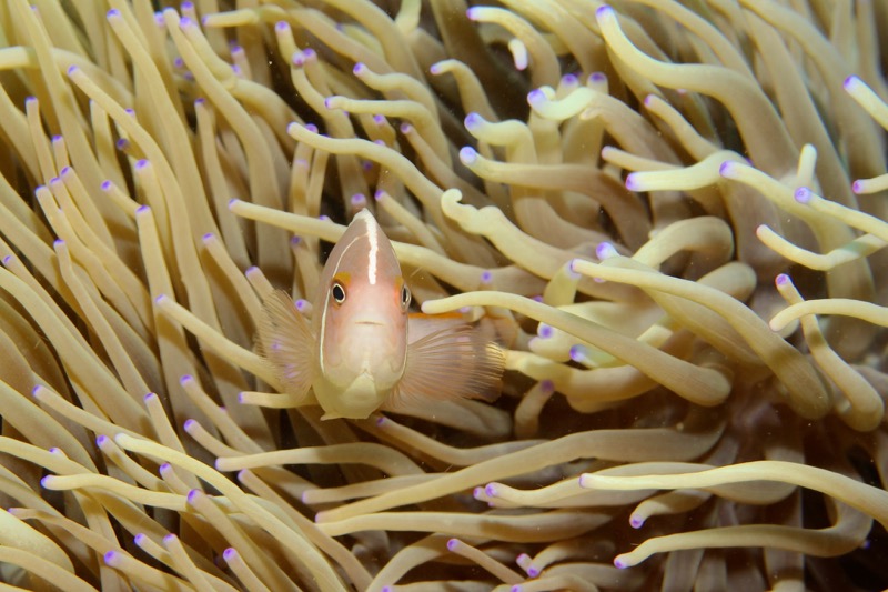 Photographer:
Juergen Stamms