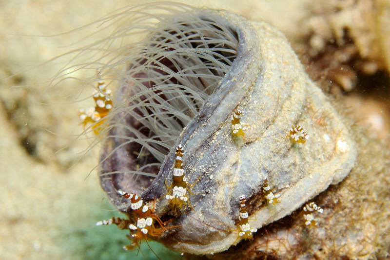 Photographer:
Juergen Stamms