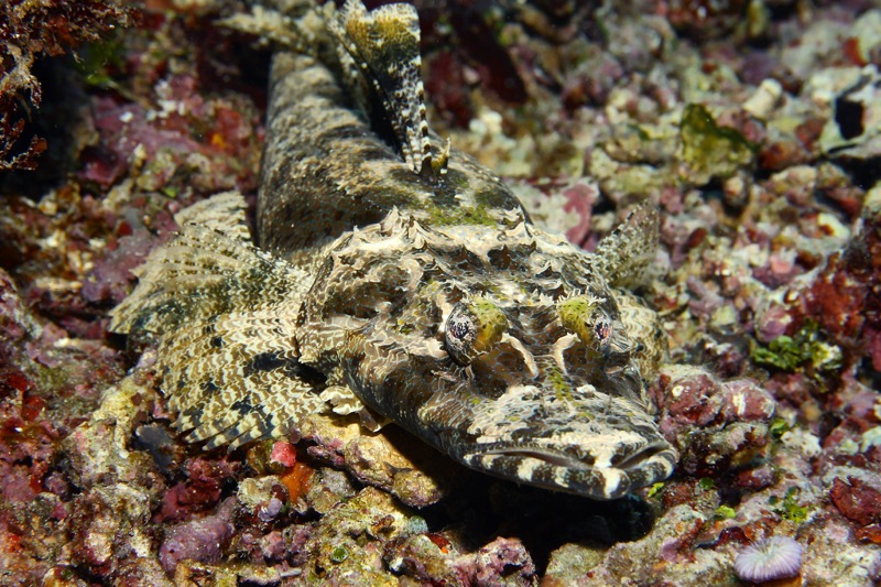 Photographer:
Juergen Stamms