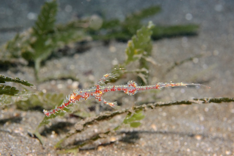 Photographer:
Juergen Stamms