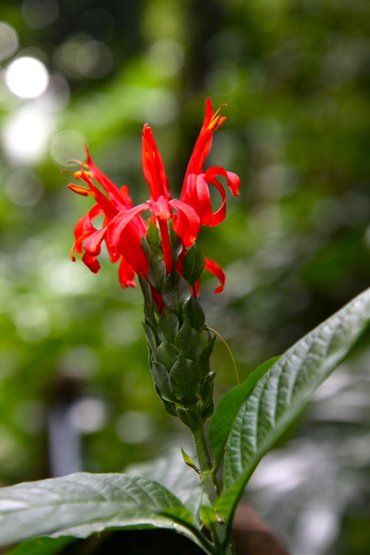 Photographer:Juergen Stamms