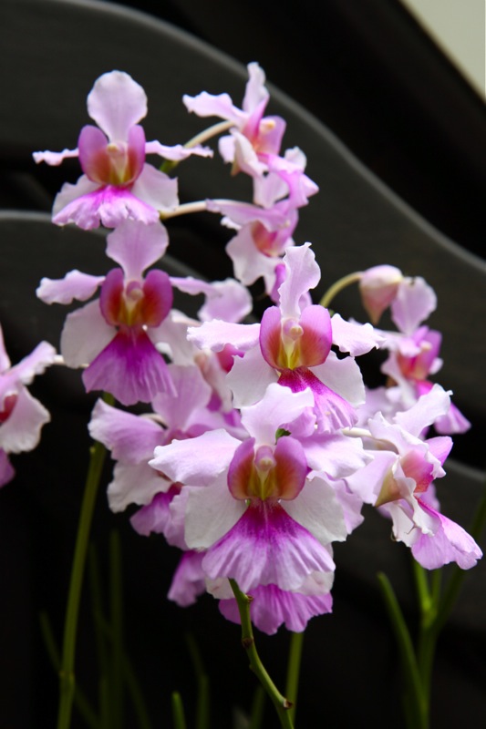 Photographer:Juergen Stamms