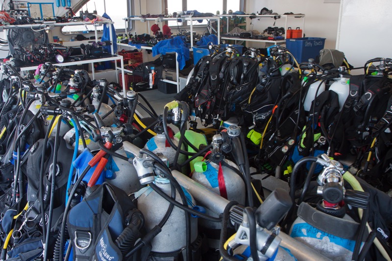 Photographer:
Juergen Stamms