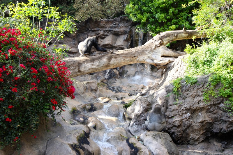 Photographer:
Juergen Stamms