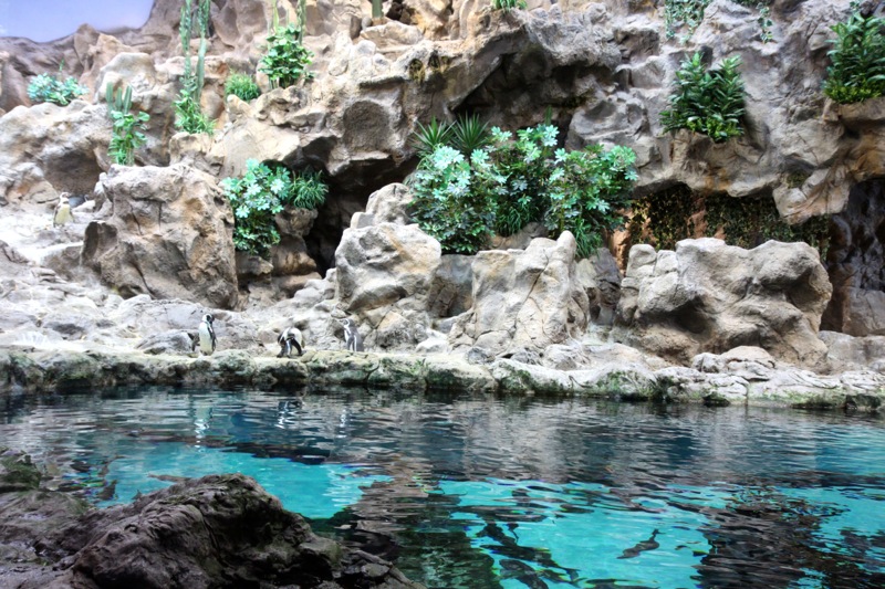 Photographer:
Juergen Stamms