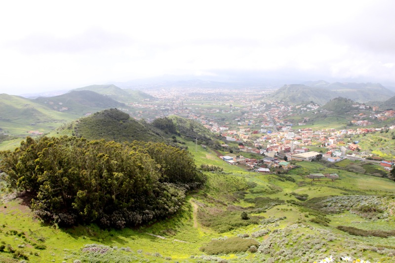 Photographer:
Juergen Stamms