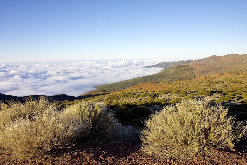 Photographer:
Juergen Stamms