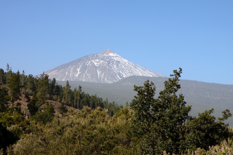 Photographer:
Juergen Stamms